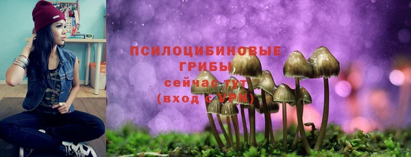 2c-b Алзамай